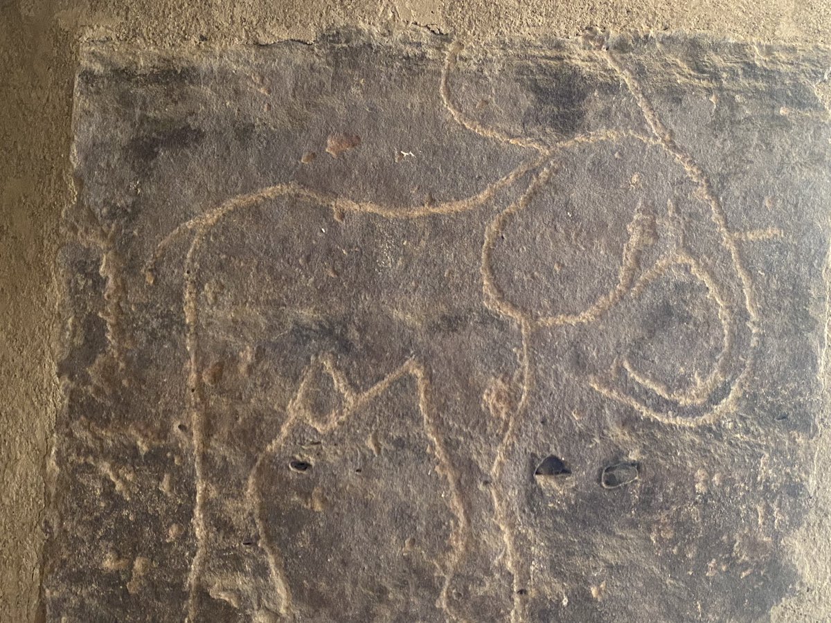 A glimpse of the wonderful rock art exhibited in the Nubian Museum at Aswan - cattle pictures are the most frequent motifs, but there are also wild animals #rockart #Nubia #Archaeology