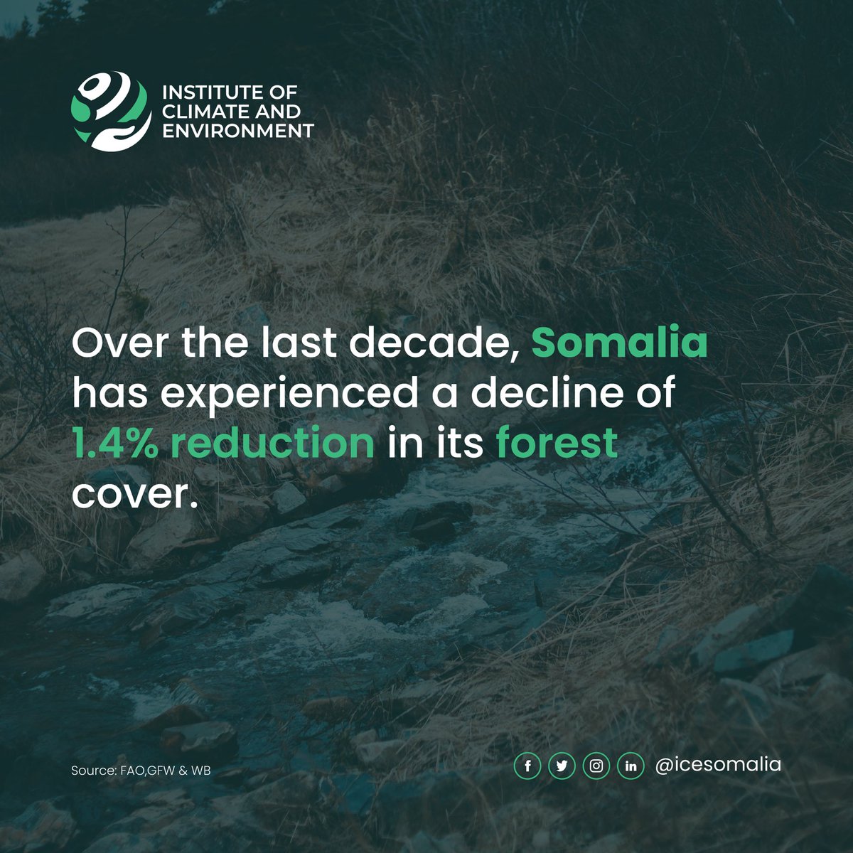 ICESomalia tweet picture