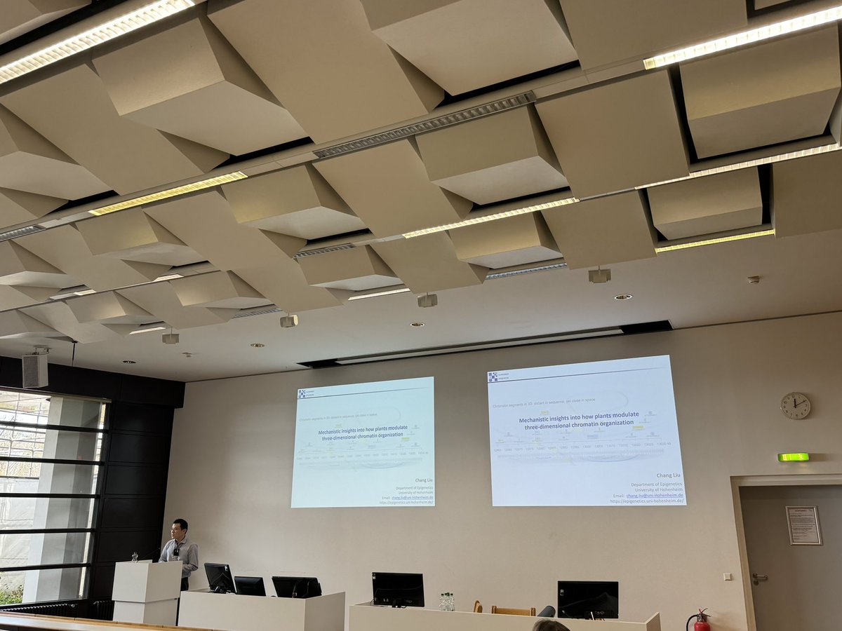 SFB1101 (@sfb1101) on Twitter photo Next speaker is Chang Liu from <a href="/UniHohenheim/">Uni Hohenheim</a> who
will talk about 3D chromatin organization #CRC1101 Next speaker is Chang Liu from <a href="/UniHohenheim/">Uni Hohenheim</a> who
will talk about 3D chromatin organization #CRC1101