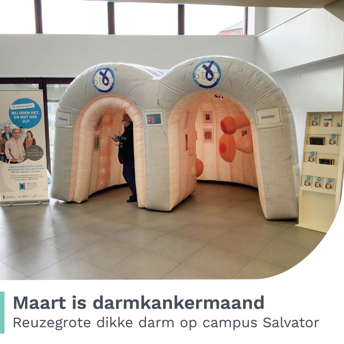 Wist je dat #darmkanker bijna altijd uit een darmpoliep ontstaat? 🔍 Wil je weten hoe dat juist zit? Op 25 en 26 maart staat er een reuzegrote dikke darm in de inkomhal van campus Salvator waar je alles te weten komt over mogelijke risico's.