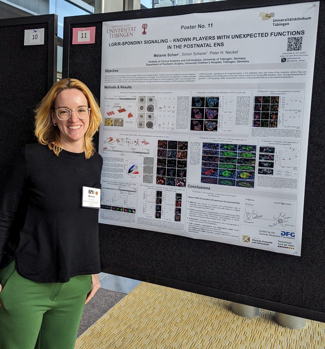Melanie Scharr (@melanie_scharr) on Twitter photo 📢 Hello - we the @NeckelLab are looking for 🫵🏻 to chat with us about our recent findings in todays poster session. <a href="/ens_development/">ENS_Development</a> <a href="/ANMSociety/">ANMS</a> <a href="/DGNM_DE/">NeuroGastro (DGNM)</a> <a href="/esnm_eu/">ESNM.eu</a> <a href="/LBBB_meeting/">Little Brain Big Brain</a>. 📢 Hello - we the @NeckelLab are looking for 🫵🏻 to chat with us about our recent findings in todays poster session. <a href="/ens_development/">ENS_Development</a> <a href="/ANMSociety/">ANMS</a> <a href="/DGNM_DE/">NeuroGastro (DGNM)</a> <a href="/esnm_eu/">ESNM.eu</a> <a href="/LBBB_meeting/">Little Brain Big Brain</a>.
