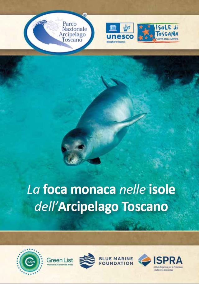 Oggi Giornata Internazionale della Foca! Sempre alto il nostro impegno con con Ispra per la salvaguardia della foca monaca del Mediterraneo, e con il sostegno anche di Blue Marine Foundation. #focamonaca #isoletoscane