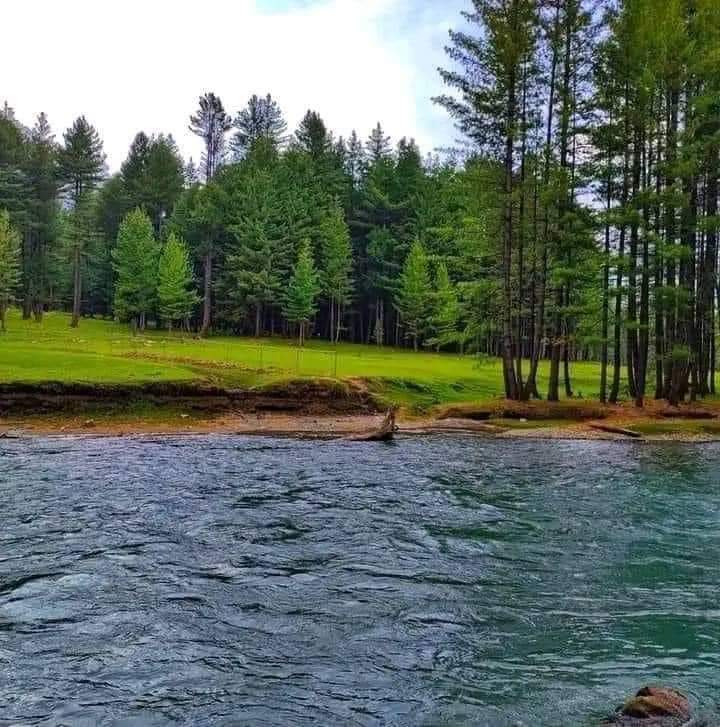 afzalhassan2's tweet image. Kumrat Valley kpk 🌲🏔️🏞️
#Kumrat #tourism #explore #explorepakistan #valley #gntm
👍🔄📝