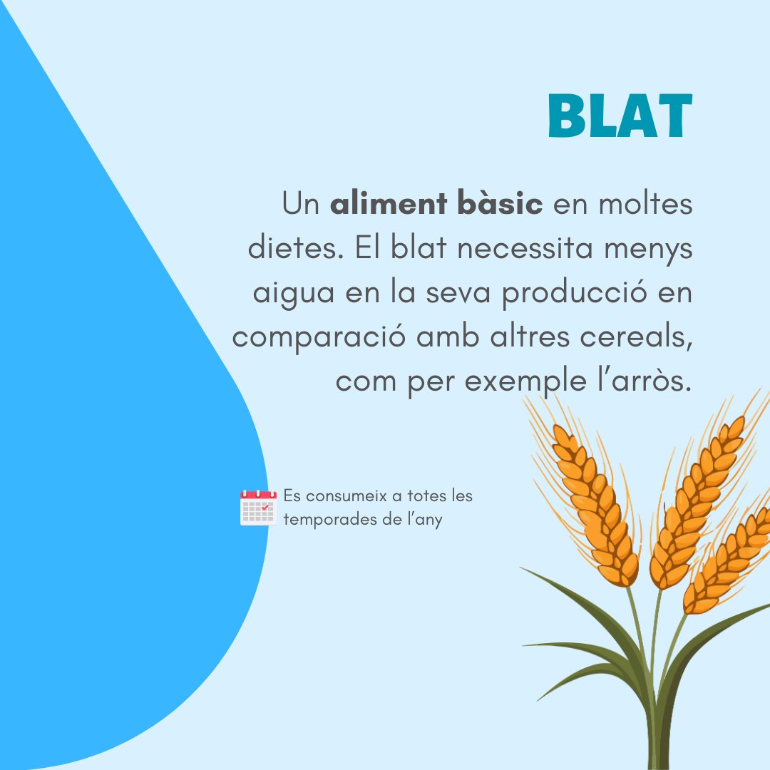 💧Avui, 22 de març, és el Dia Mundial de l’Aigua. 

📢En un moment de gran preocupació per la sequera, des d’AmbTu us volem compartir propostes sobre com reduir el consum d'aigua a través dels aliments que consumim en el nostre dia a dia. 

#diamundialdelaigua #aigua #agua #ess