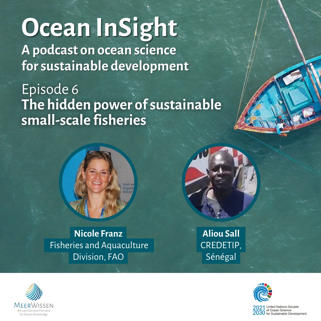 🚨New #OceanInSight podcast episode released! 🎣In Episode 6, @SSF_Nicole from @FAOfish and Aliou Sall from @V2VPartnership discuss the hidden power of sustainable #SmallScaleFisheries for food security, livelihoods and marine stewardship. 🔗tinyurl.com/28kfmxfo