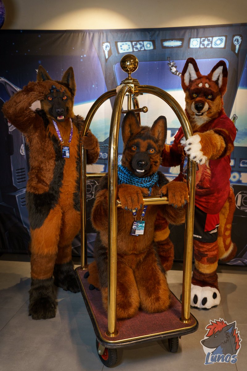Got our spaceship ready for our Exploration Of Space 😊😅
Happy #FursuitFriday.

Photo from <a href="/GdakonPL/">Gdakon</a> 2024 - "Into Space"
🐕‍🦺: <a href="/berrexter/">Berrexter 🇩🇪🇳🇱 🔜 EAST 🇩🇪</a>, Me, my 💖@Futratus
📷: <a href="/LunosWolf/">Lunos</a> 

#furry #furries #fursuit #fursuits #fursuiter #fursuiters #gdakon2024 #fursuitphotography