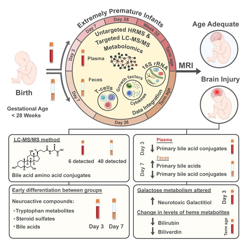 Finally out @CellRepMed after 6+ years of collaborative work: Neuroactive #metabolites and #bile acids are altered in extremely #premature #infants with #brain injury #preterm #metabolomics #microbiome #bileacids #braininjury #metabolome #TeamMassSpec cell.com/cell-reports-m…