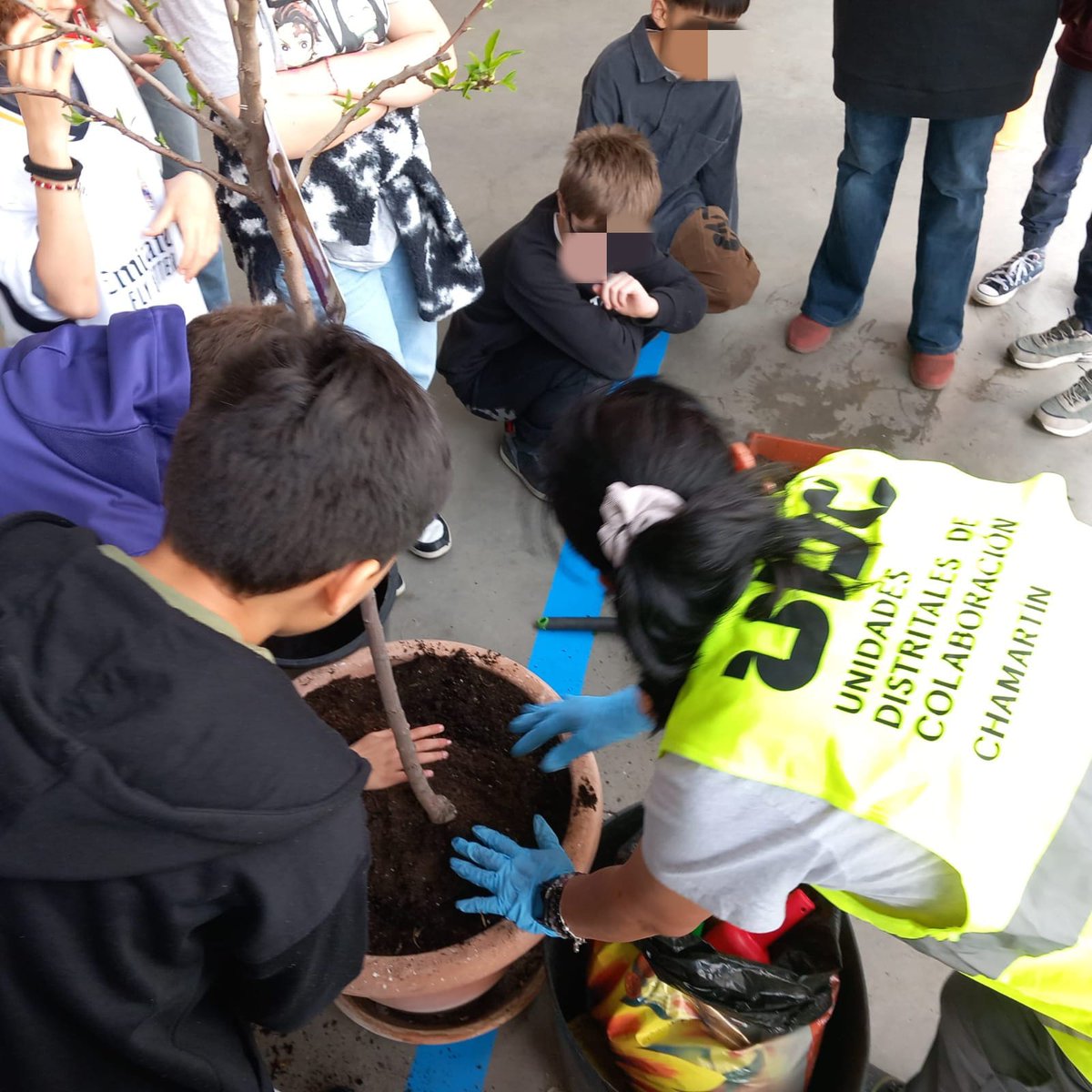 UdcChamartin's tweet photo. Hemos ampliado las zonas verdes🌱 del #CEIPPadrePoveda plantando aromáticas y árboles diversos con la ayuda del alumnado y el profesorado del centro escolar 💚🌳🪻🌞 @JMDChamartin @MADRID @AsocElOlivar https://t.co/bGRD2EcEle