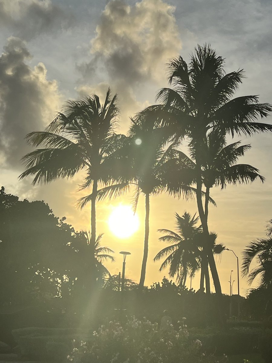 Good Friday morning from Eagle beach Aruba #onehappyisland