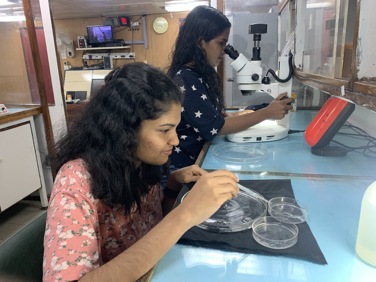 A team of scientists led by Dr. Kusum Komal Karati, CMLRE has completed a cruise onboard FORV Sagar Sampada from 19.02.2024 to 14.03.2024 to study the spawning ecology of the pelagic fishes in the eastern Arabian Sea.