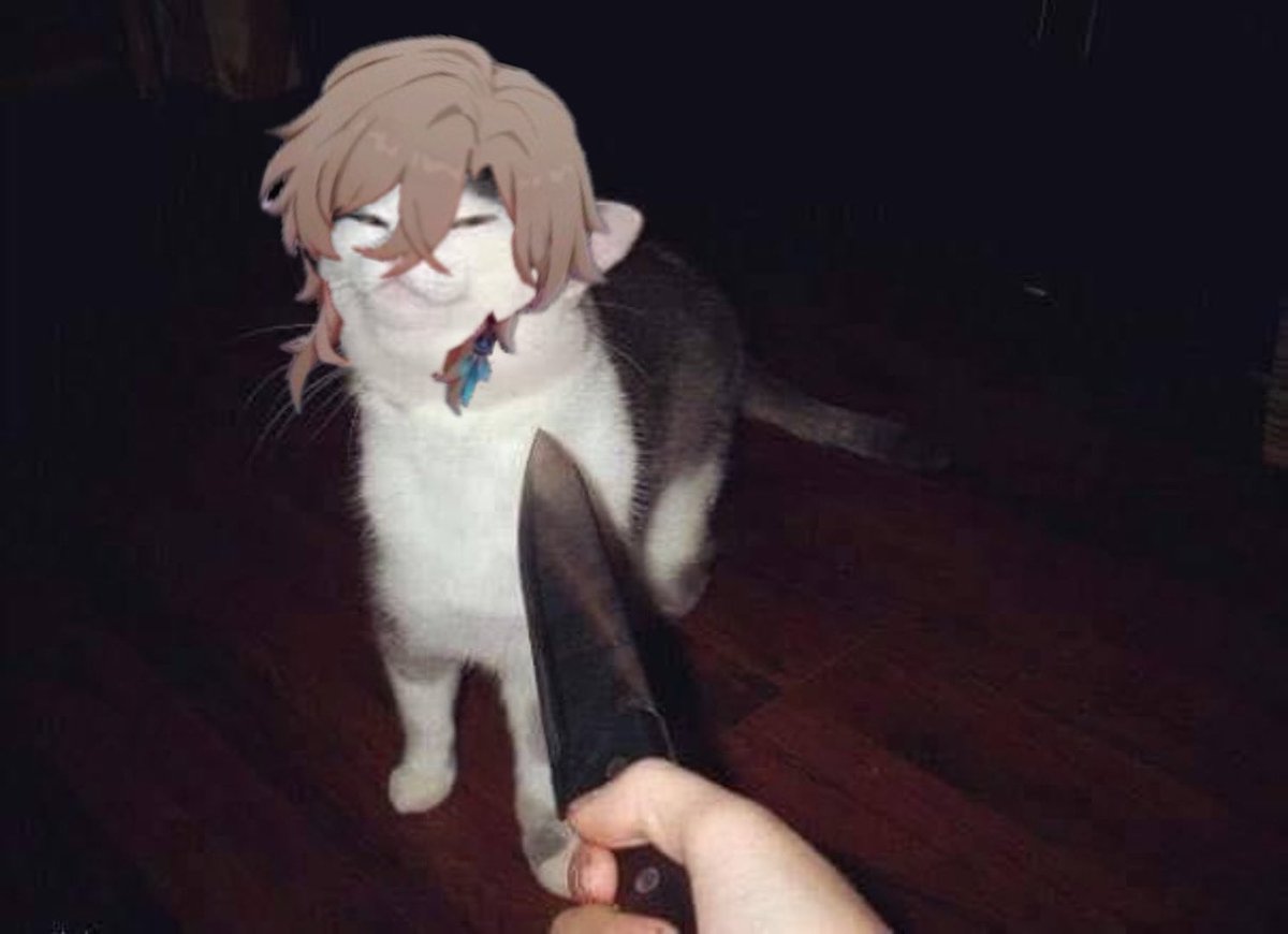 I just realised that #aventurine in the final victor lightcone is basically  the knife cat meme, image size:1200x870