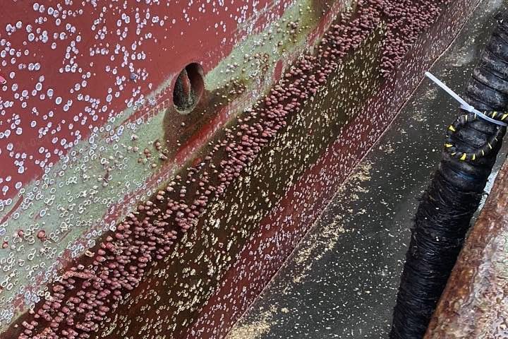 Slime and barnacles have a knack for turning a ship's sleek hull into a clunky, drag-inducing mess, causing it to chug through the water and slurp up fuel like nobody's business! 🚢💨 Join us in our mission to preserve our oceans! #NeptuneRobotics #Biofouling #FuelEfficiency