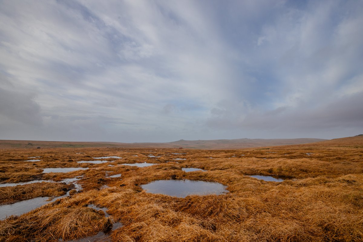 South West Peatland Partnership tweet media