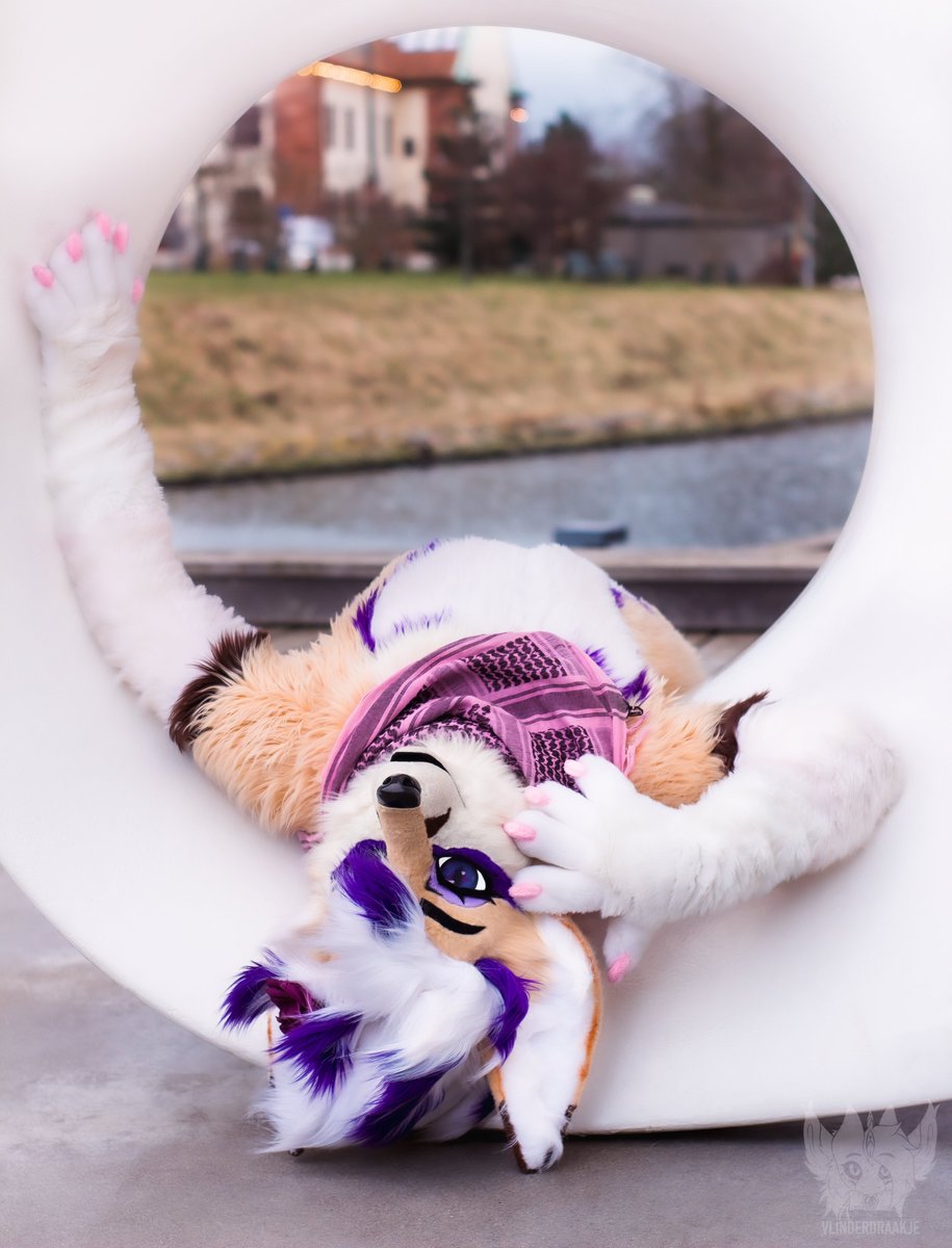 โจ Violet โจ @NFC (@viiivixen) on Twitter photo I'll turn your world upside down~ โจ
๐ธby: <a href="/vlinderdraakje/">vlinderdraakje</a>
#FursuitFriday #NordicFuzzCon I'll turn your world upside down~ โจ
๐ธby: <a href="/vlinderdraakje/">vlinderdraakje</a>
#FursuitFriday #NordicFuzzCon