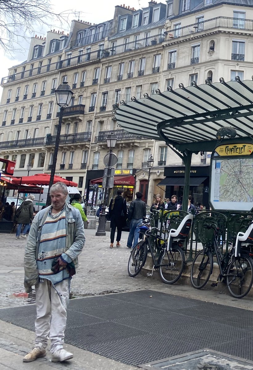 pariste nadir bulunan o kuş türü şaşırttı
