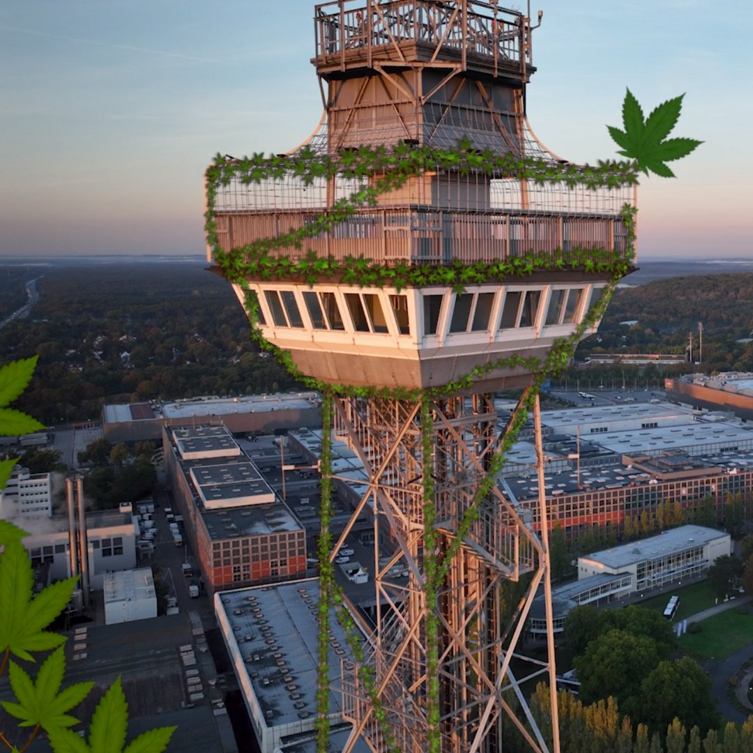 MesseBerlin's tweet photo. Gute Nachrichten für die @hanfmesse Mary Jane Berlin: Das #Hanf ist frei! 🍃 Was das bedeutet? Vom 14. bis 16. Juni 2024 finden wir es heraus...unterm Funkturm. #CanG #GuestEvents #Hanfmesse https://t.co/tDjcbYy69Z