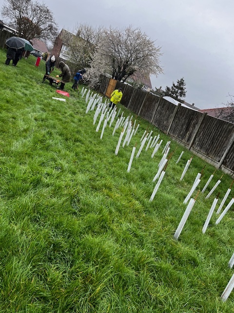 Well done to representatives from Aegon UK who joined us to plant trees at the Gunny, Canvey Island last week! We now have hundreds of trees planted thanks to everyone who joined our workshops 🌳 Find out more about the developments: trustlinks.org/gunny-project/