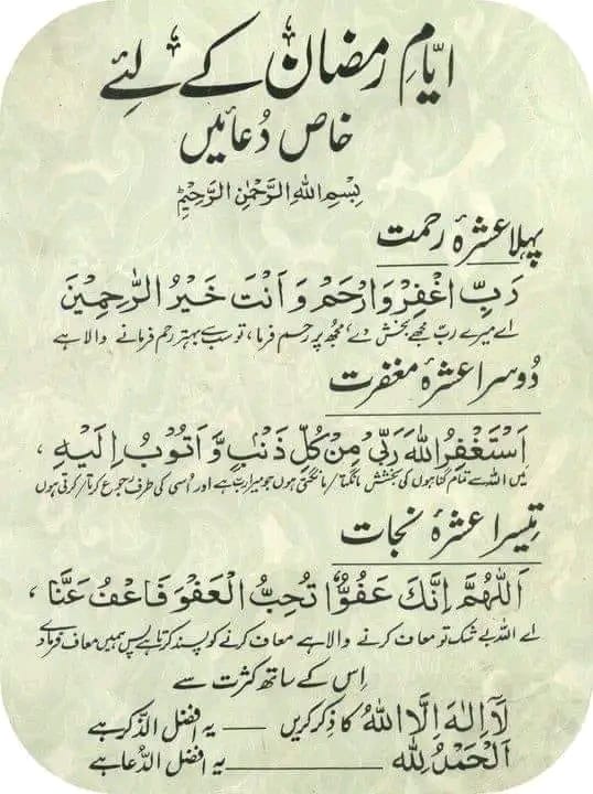 ام نوید tweet media