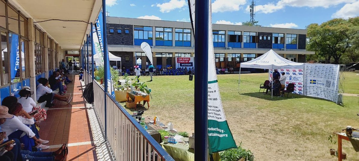 KutsagaResearch's tweet photo. @KutsagaResearch Staff Internal Marketing Day @frank_magama @aaron_denenga @obertjiri @timb_zw @TTofuz @TobaccoZimbabwe @TheFarmerTalk @tmug_ @MoLAFWRD_Zim @agribusinesszw @agribusiness110 @FrancoMukoyi @KumbiraiMateva @cleopaschenai @zpba_official @AgritexS @zimagricsociety https://t.co/gqwZcpCSRd