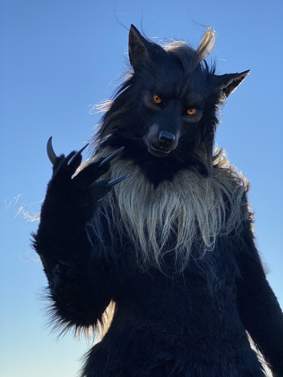 shaqualhound's tweet image. Oopsie!  Here, let me help you up~

📸Ukinart 
#hellhound #clockworkcreature #fursuit #FursuitFriday #realisticfursuit