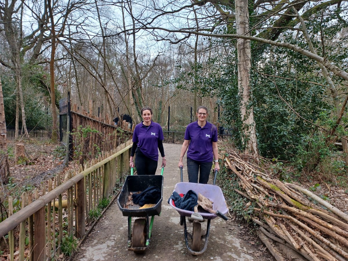 Volunteering Day 🌟 - Helping to get the new wolf enclosure ready at @WildwoodTrust in Kent 🐺 Helping to get the new wolf enclosure ready is a priority for the Trust and with the volunteer support they are nearly ready to move the wolf family in, well done girls! 👏 #PortofDover