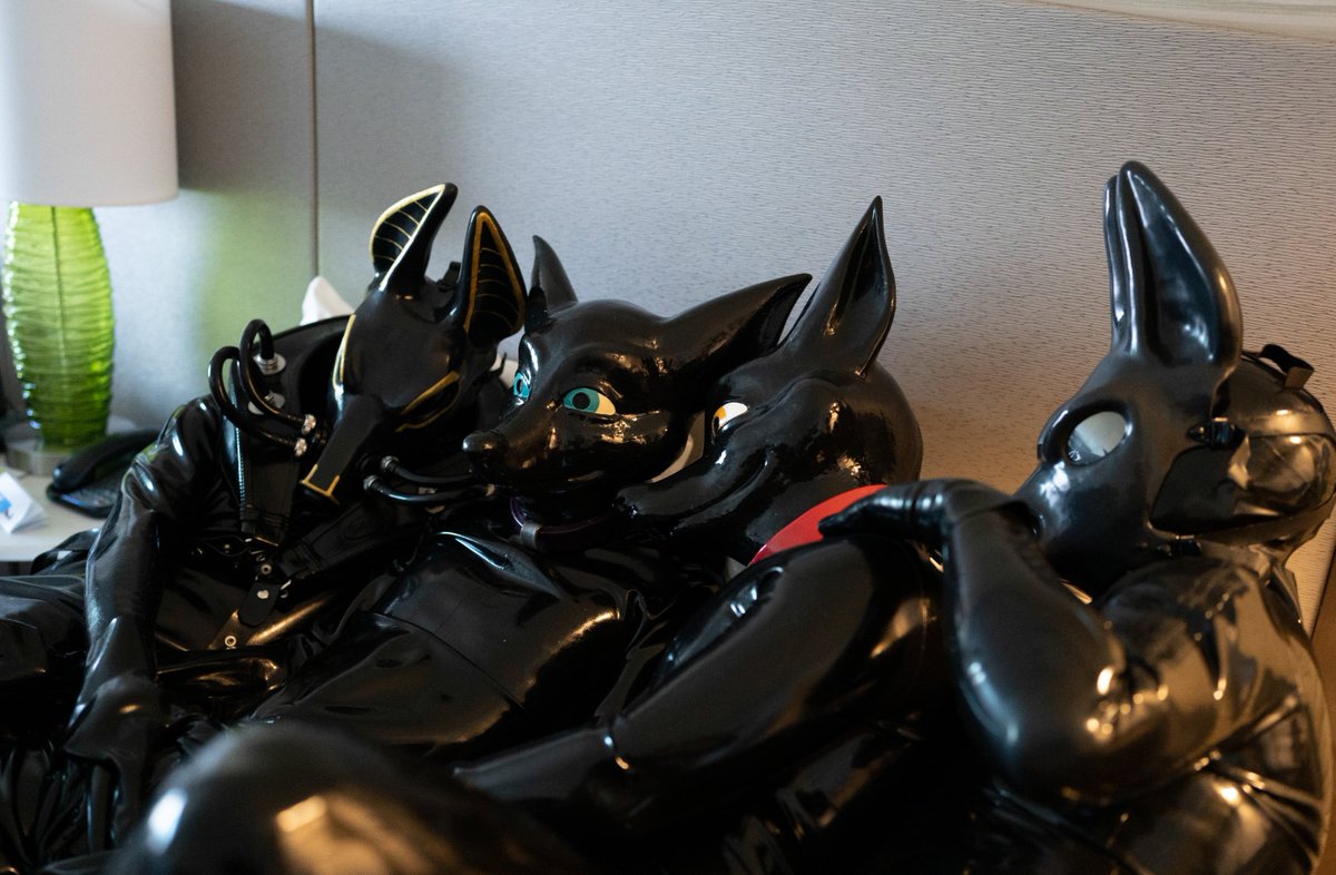Decided to turn a few friends into squeaky shiny rubber animals at #TFF2024 . #latex