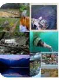 EFpais's tweet photo. #DiaMundialDelAgua  @CubaMined @DMERemedios https://t.co/MXfEZKK0Cx