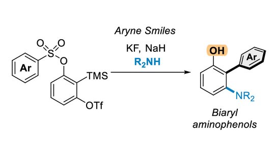 greaneygroup's tweet image. Just out in @JOC_OL, we leverage an aryne-enabled Smiles-Truce rearrangement for the cascade synthesis of biaryls. Congrats to Ani and Danielle for their hard work!
pubs.acs.org/doi/10.1021/ac…