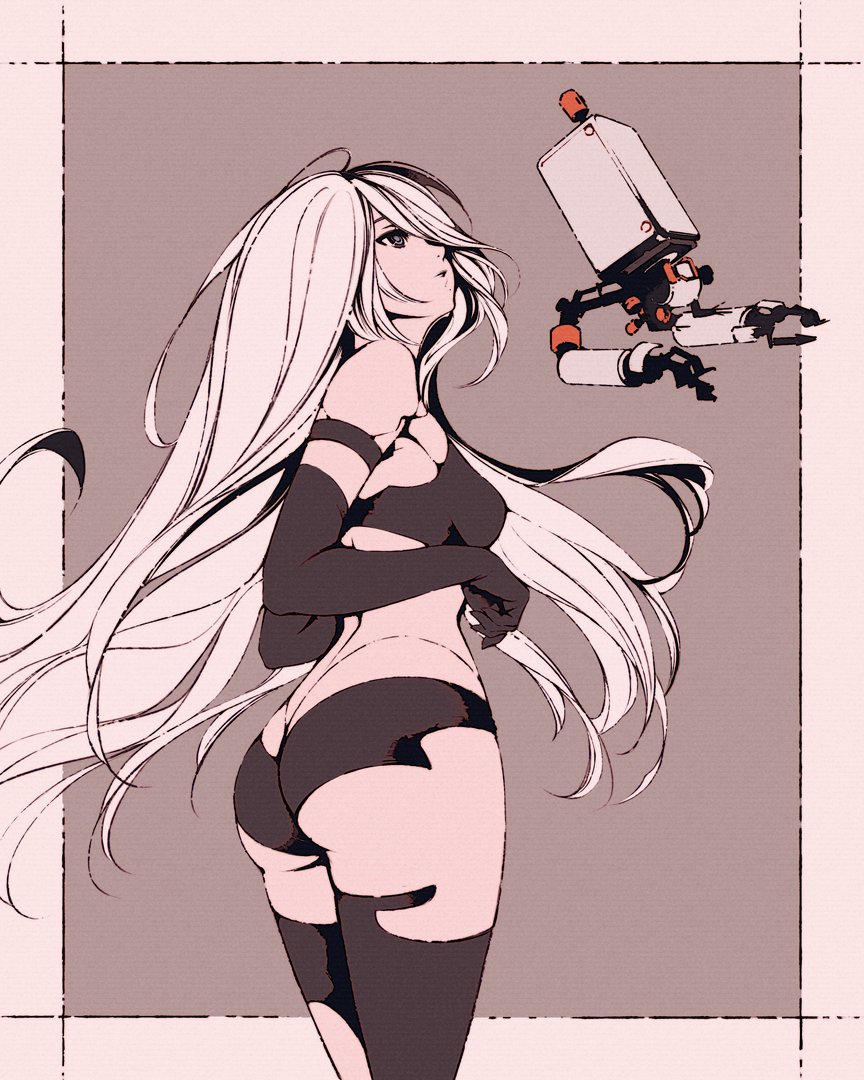 A2