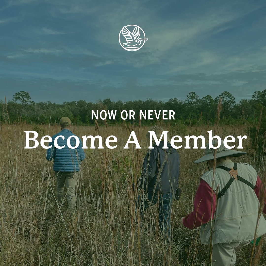 North Florida Land Trust tweet media