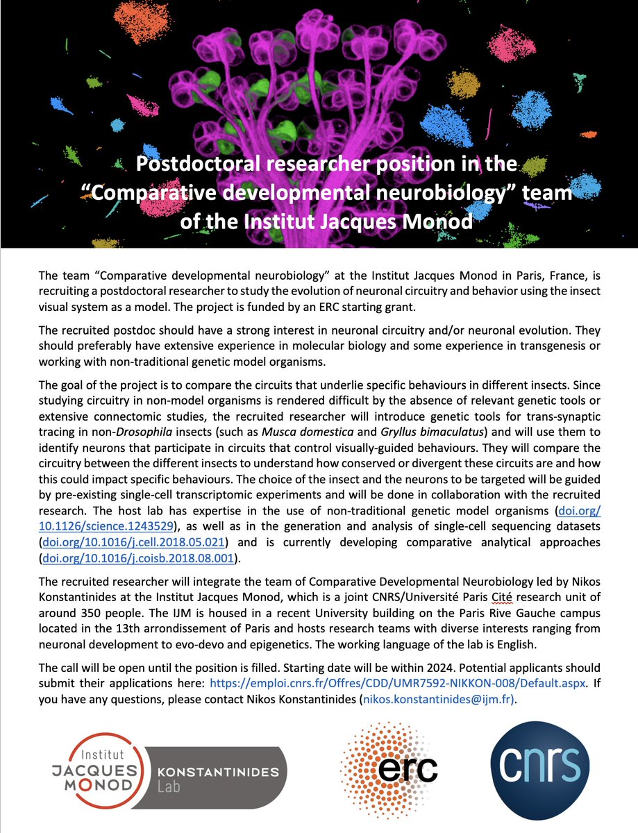 We are still recruiting! If you are into neuronal evolution or neuronal circuits or you just enjoy generating new tools in different bugs, please consider applying. The call is still open and will be until the position is filled. More information by email or DM. Please RT.