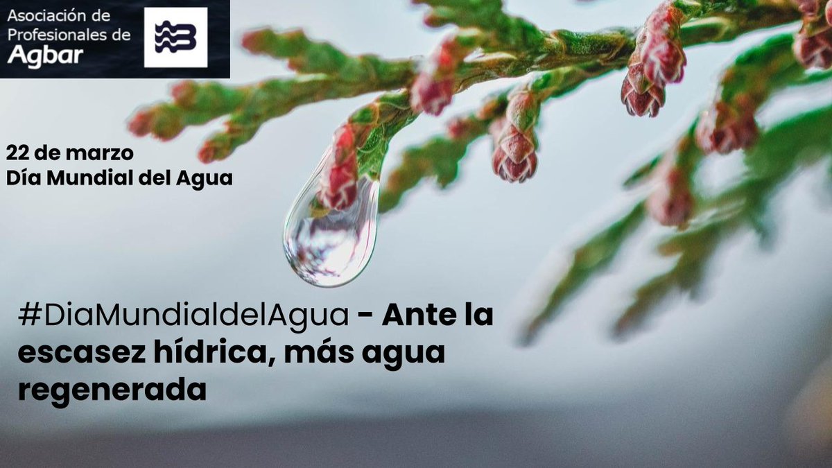 Desde la Asociación de Profesionales de Agar os deseamos Feliz #DiaMundialDelAgua 💧💧💧