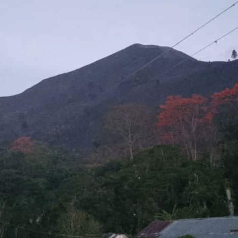 Gracias al valioso equipo del @GobMonagas_  <a href="/alcaldia_caripe/">AlcaldiaCaripe</a> <a href="/monagaspcad/">Protección Civil ZOEDAN Monagas</a> <a href="/InparquesVzla/">Inparques Oficial</a> <a href="/Bomber0sMonagas/">BOMBEROS MONAGAS</a> se controló el incendio forestal en el cerro el espejo de la comunidad La Peña, Municipio Caripe. <a href="/NicolasMaduro/">Nicolás Maduro</a> <a href="/dcabellor/">Diosdado Cabello R</a> <a href="/ErnestoLunaPsuv/">Ernesto Luna G.</a> <a href="/psuvmonagas_ve/">𝗣𝗦𝗨𝗩 𝗠𝗢𝗡𝗔𝗚𝗔𝗦</a>