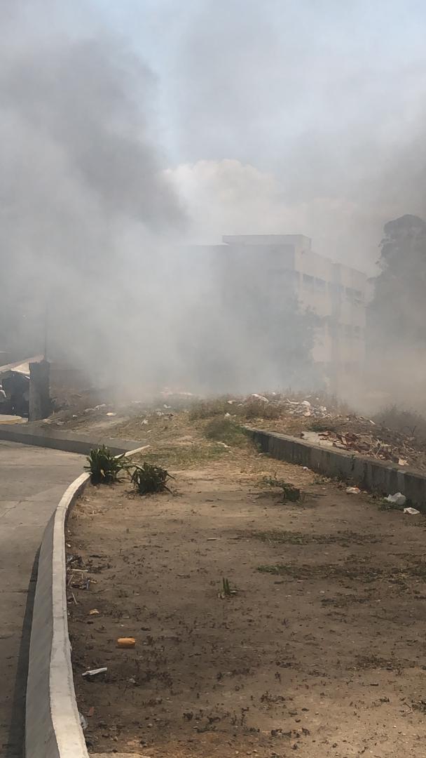 RealDianova's tweet photo. Les comparto información de una tragedia que sucedió el jueves 21/03/2024 con unos gatitos en Carapita-Caracas. Las versiones señalan a un sujeto q incendió terreno q refugiaba a +100 gatitos, sobrevivieron 14! Necesitan apoyo #JUSTICIA @TarekWiliamSaab @SomosNevado @MPNecesario https://t.co/hcQ42vFZNh
