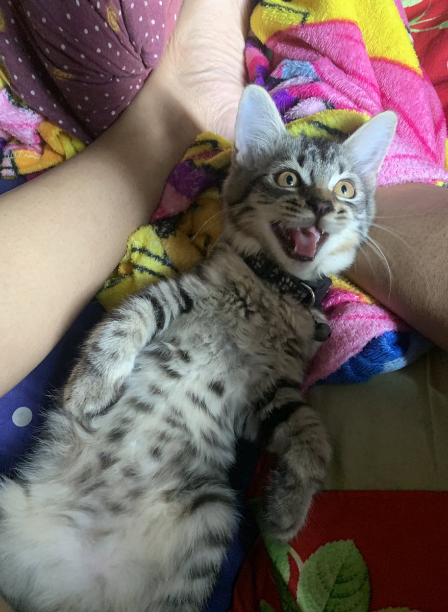 "Miii aku bisa sit up"