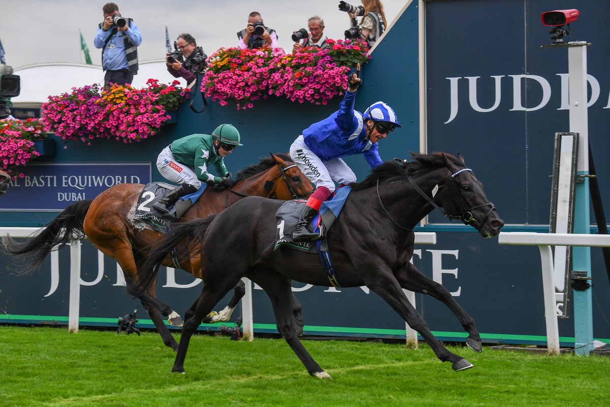York Racecourse & Juddmonte are delighted to announce that the Group One Juddmonte International will be run for a record £1,250,000 in 2024 - bit.ly/3x311Rg Wed 21 Aug - Juddmonte International @yorkclerk | @JuddmonteFarms | @YorkshireRacing | @RacingTV | @itvracing