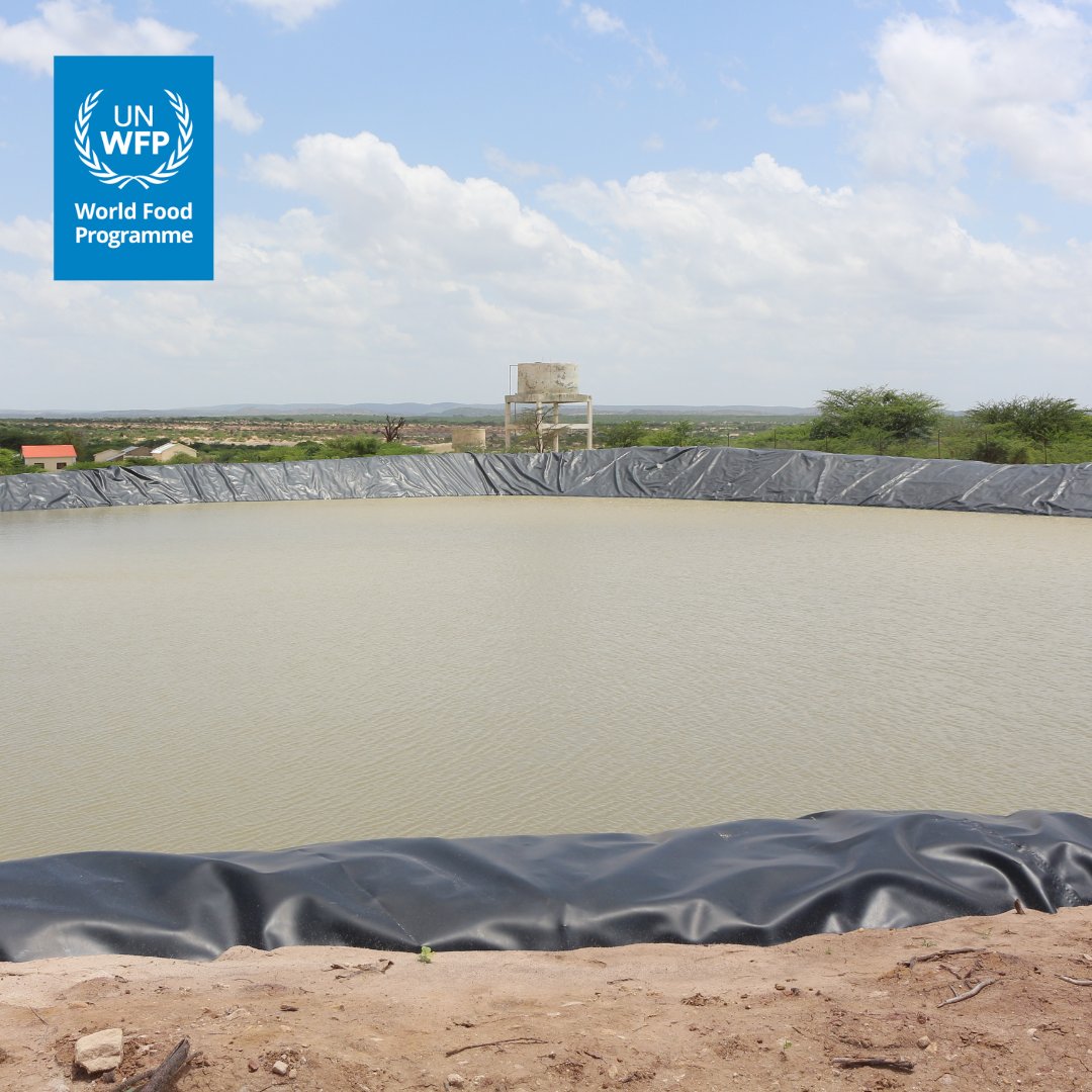 On #WorldWaterDay💧, we recognize the role of water in peace & stability. @WFP supports communities to adapt to the #ClimateCrisis in #Somalia by constructing & rehabilitating water catchment sites & constructing water towers – bringing water closer to families. #WaterForPeace