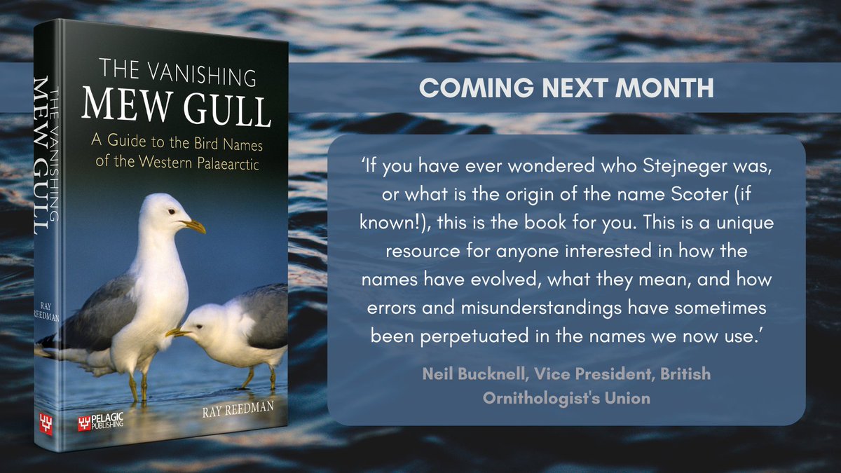 Publication is less than two weeks away! Follow the link below to learn more about The Vanishing Mew Gull by Ray Reedman 📖 ➡️ loom.ly/FpFcnlU #birdnames #nomenclature #ornithology #taxonomy #etymology #westerpalaearctic #newontheblog #samplechapter