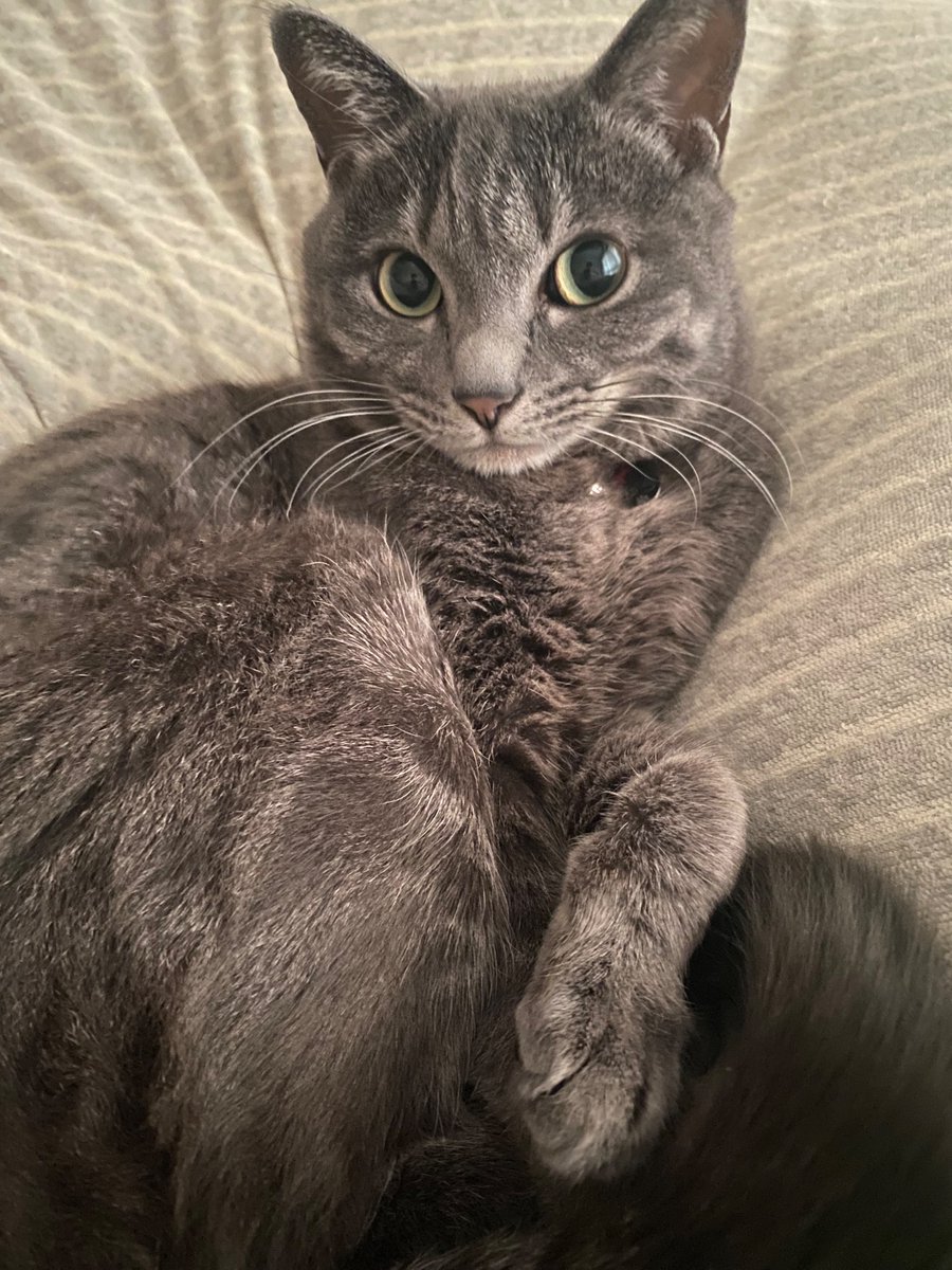 原田健史 tweet media