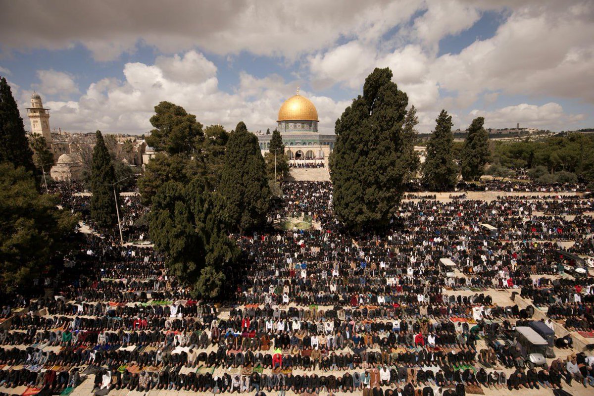 120 ألف مصلٍ يؤدون صلاة الجمعة اليوم في المسجد الأقصى المبارك بالقدس عاصمة فلسطين المحتلة 🇵🇸🕌 اللهم نصرا عاجلاً قولوا 'امين' 🤲🏻