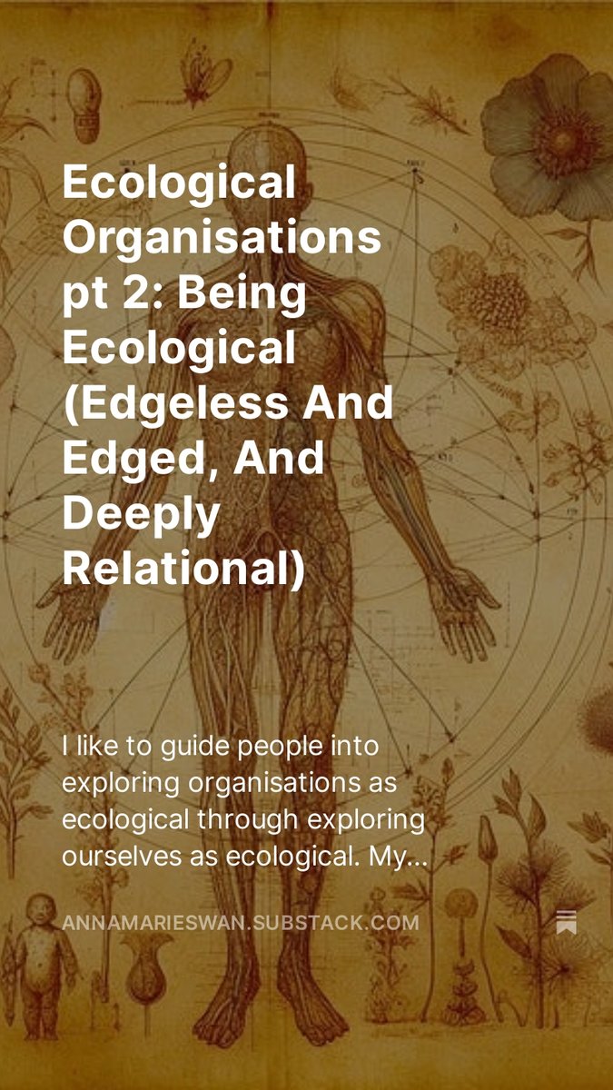 Ecological Organisations pt 2: Being Ecological (Edgeless And Edged, And Deeply Relational) is out annamarieswan.substack.com/p/ecological-o…