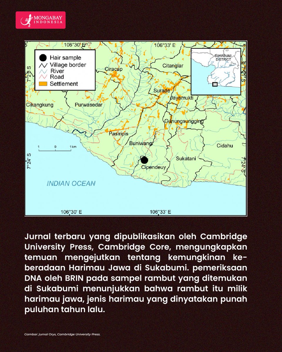 Mongabay Indonesia tweet media