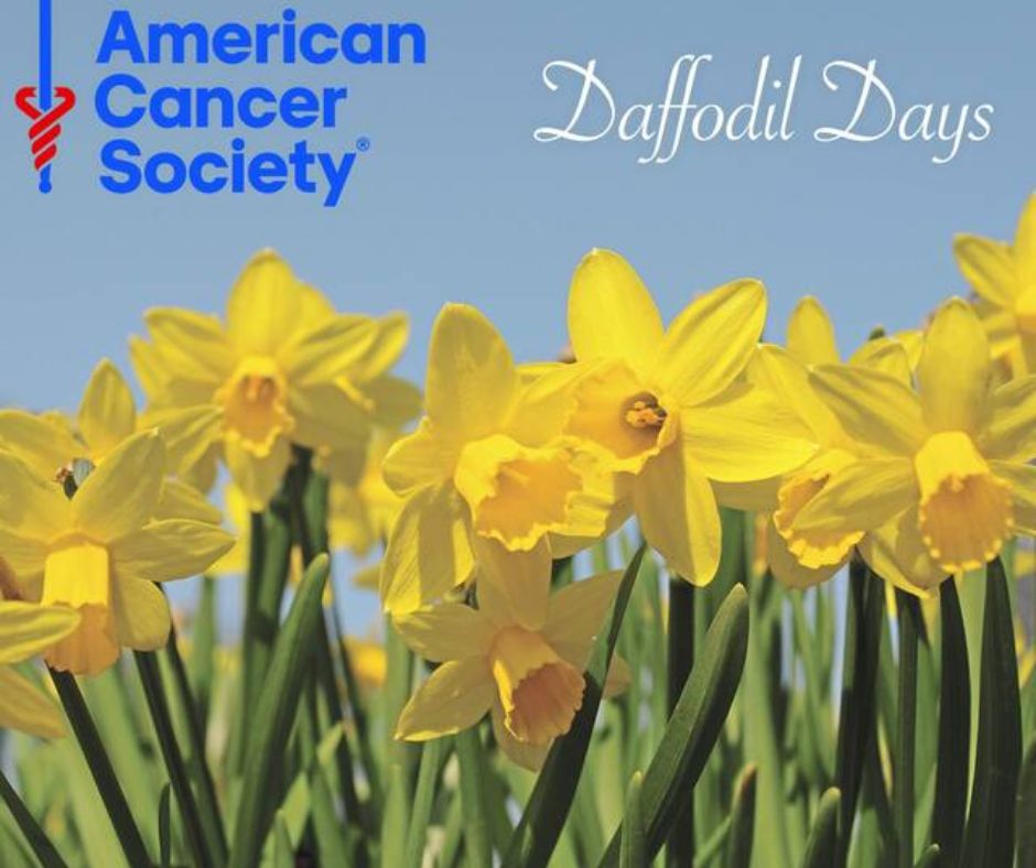 Celebrate Daffodil Days 🌼 this spring! Embrace hope, renewal, and the beauty of nature. Let's support cancer research and survivors by donning these sunny blooms. Spread joy, optimism, and love! 💛🌱💕 #DaffodilDays #SpringRenewal #HopeBlooms 🌞🦋