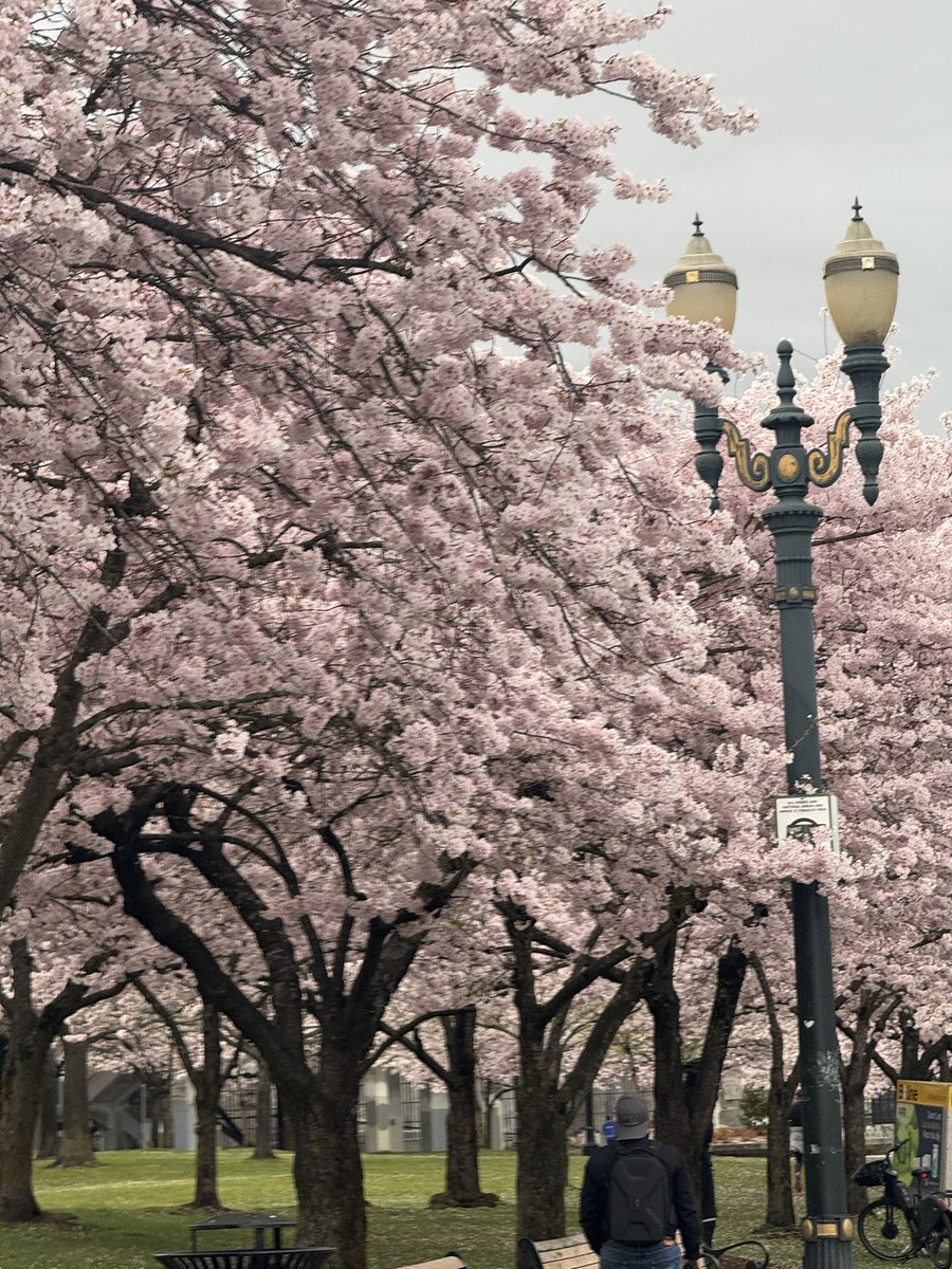 ProfDougherty's tweet image. Some other shots of the Portland area and #sigcse conference.