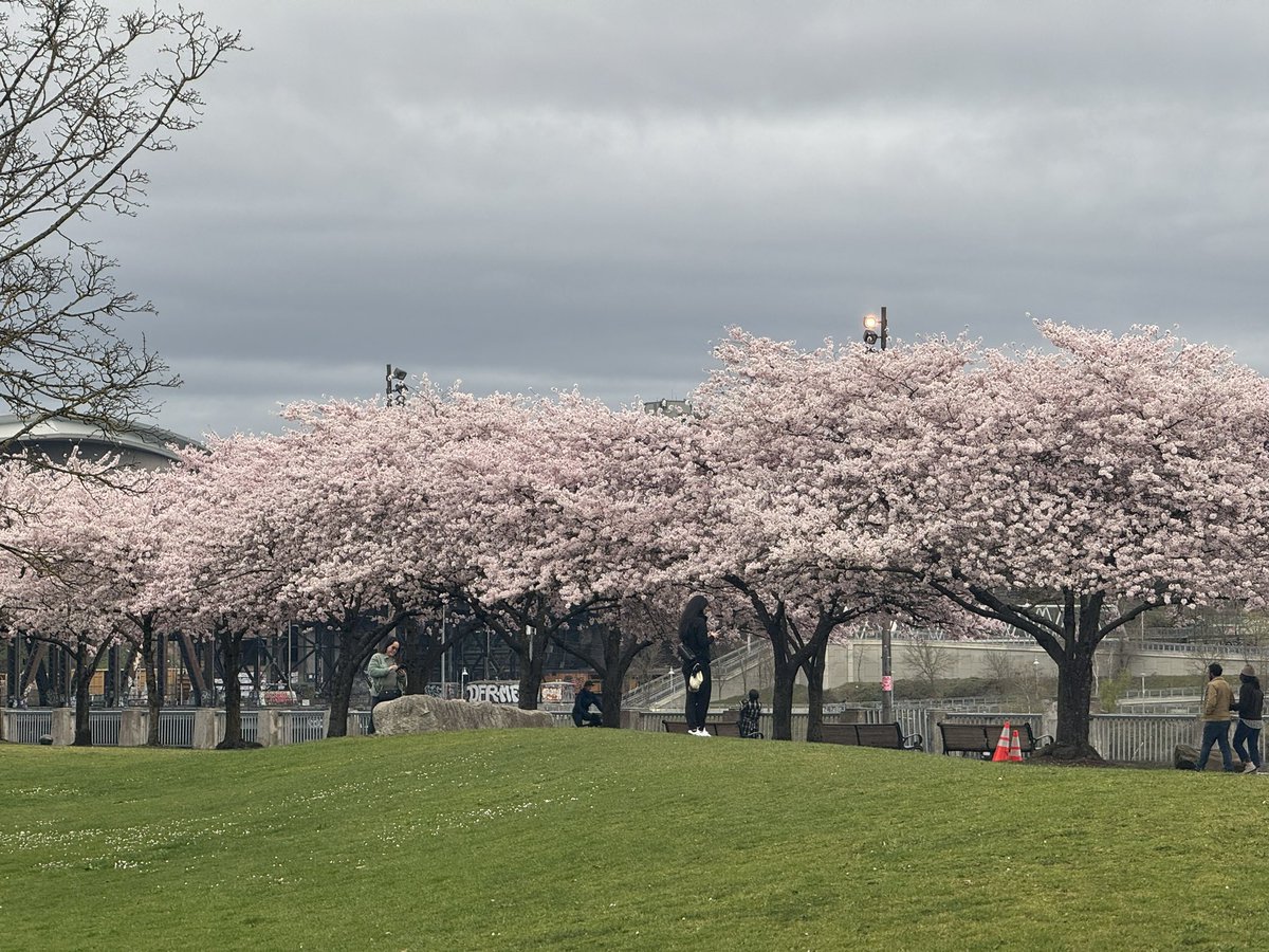 ProfDougherty's tweet image. Some other shots of the Portland area and #sigcse conference.