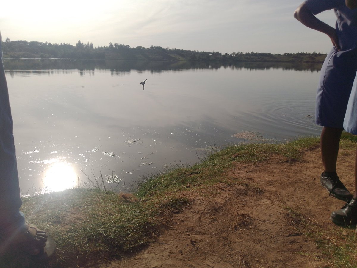 Happy preparation day from Lake Simbi in HomaBay county. 
#happysabbath #happypreparationday 
#homabaycounty #TBDay