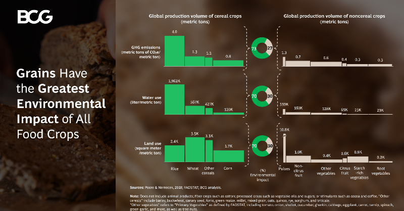 BCG's tweet photo. Did you know ❓  Production of refined grains creates serious environmental damage worldwide. 

A powerful antidote to these problems? Fortified whole grains, which offer both greater nutrition and fewer greenhouse gas emissions.