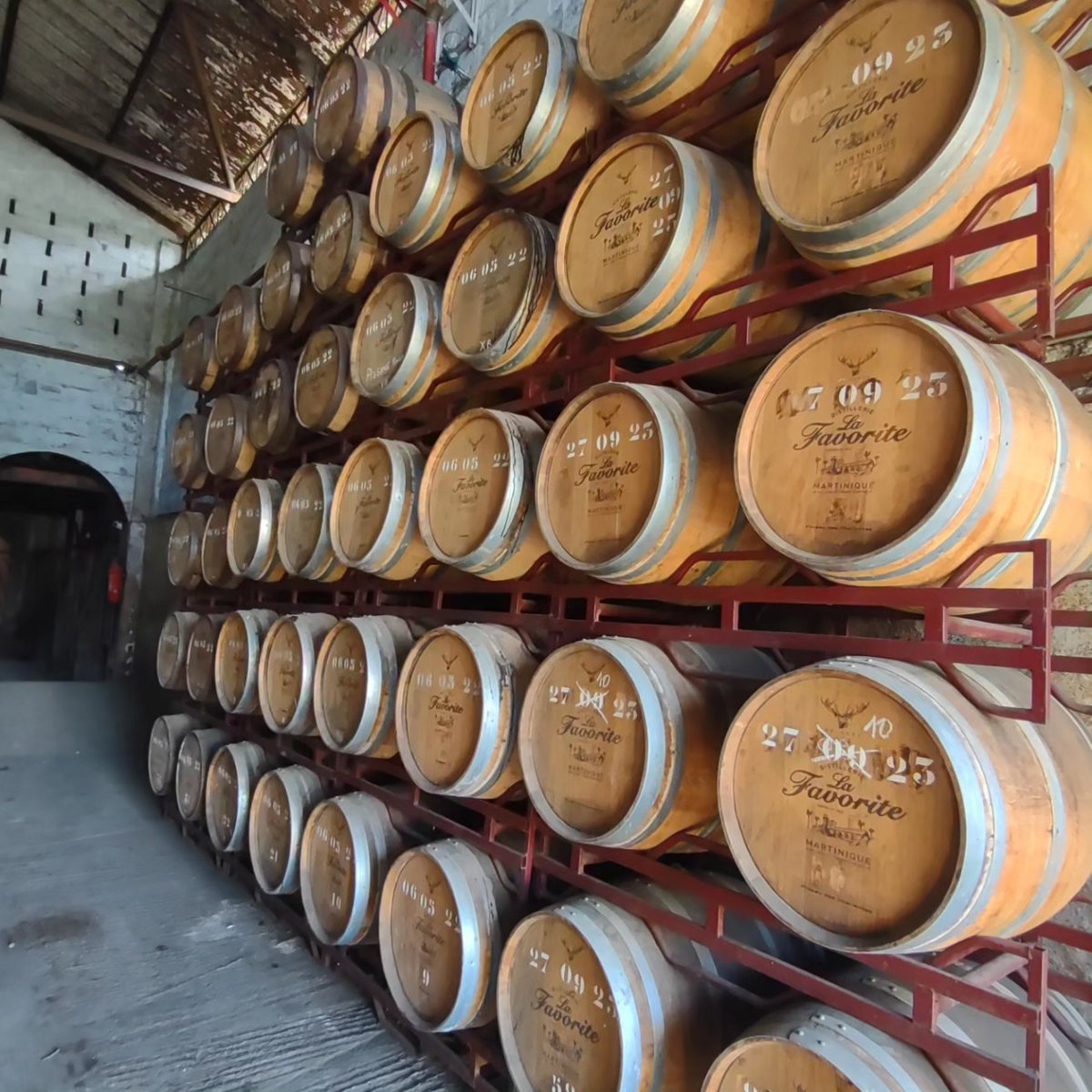 Pleasant view of <a href="/RhumLaFavorite/">La Favorite</a> barrels 🤗 #martinique