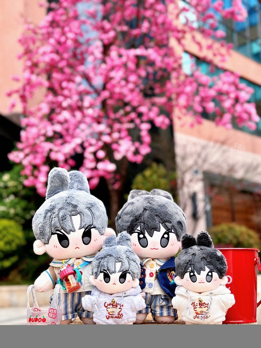 DoYoungBar21's tweet image. 💽 𝟮𝟬𝟮𝟰 𝐃𝐎𝐘𝐎𝐔𝐍𝐆 𝐒𝐨𝐥𝐨 𝐏𝐫𝐨𝐣𝐞𝐜𝐭 

-𝐏𝐚𝐫𝐭.𝟬𝟒 10cm &amp;amp; 20cm DOLL （Dopid &amp;amp; Dobbit）

🍀 For each doll purchased, an album needs to be purchased.

🐰𝑺𝒆𝒆 𝒚𝒐𝒖 𝒕𝒐𝒎𝒐𝒓𝒓𝒐𝒘 𝒇𝒐𝒓 𝒕𝒉𝒆 𝒏𝒆𝒙𝒕 𝒊𝒕𝒆𝒎…

#DOLOiscoming
#도영 #DOYOUNG