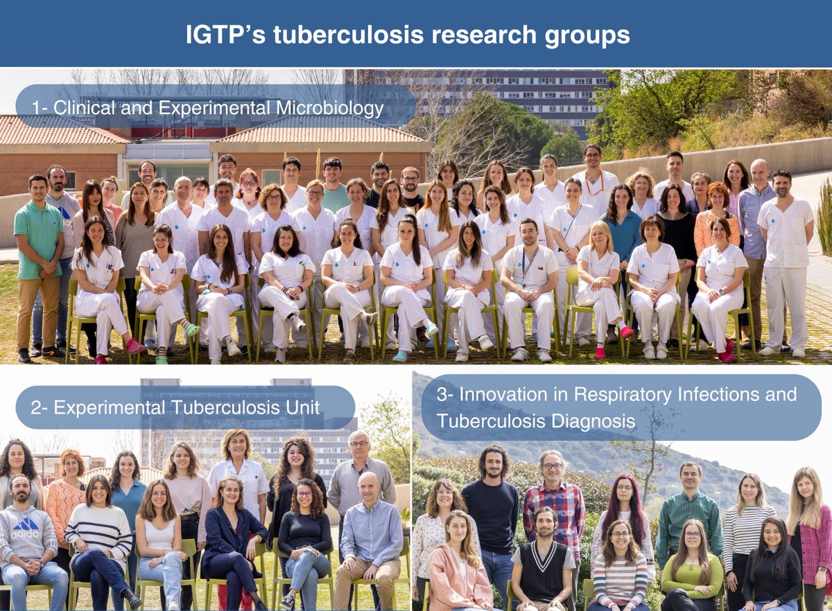 🌍🦠 Today is #WorldTBDay and we would like to introduce you to IGTP's #tuberculosis-focused research groups You can explore their areas of study on our website: 1️⃣ germanstrias.org/en/research/in… 2️⃣ germanstrias.org/en/research/in… 3️⃣ germanstrias.org/en/research/in… @tbexperimental @Oneandahalf_Lab